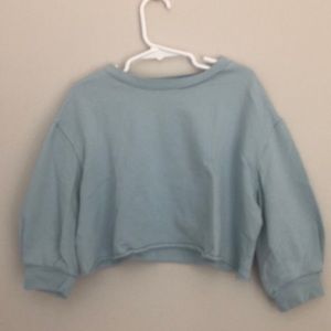 Stem Blue Crop Top